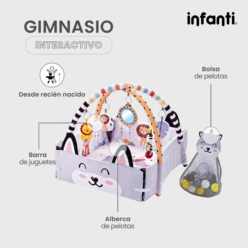Infanti Gimnasio- Alberca De Pelotas ''Fox''