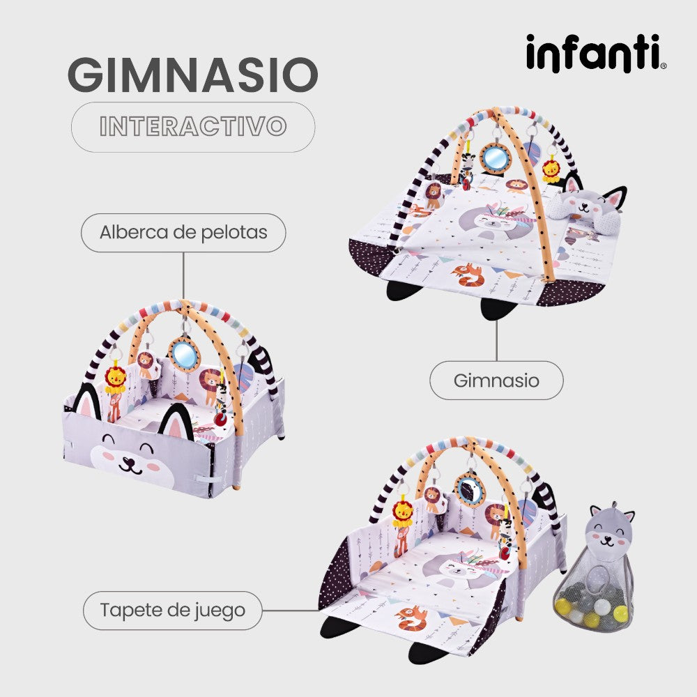 Infanti Gimnasio- Alberca De Pelotas ''Fox''