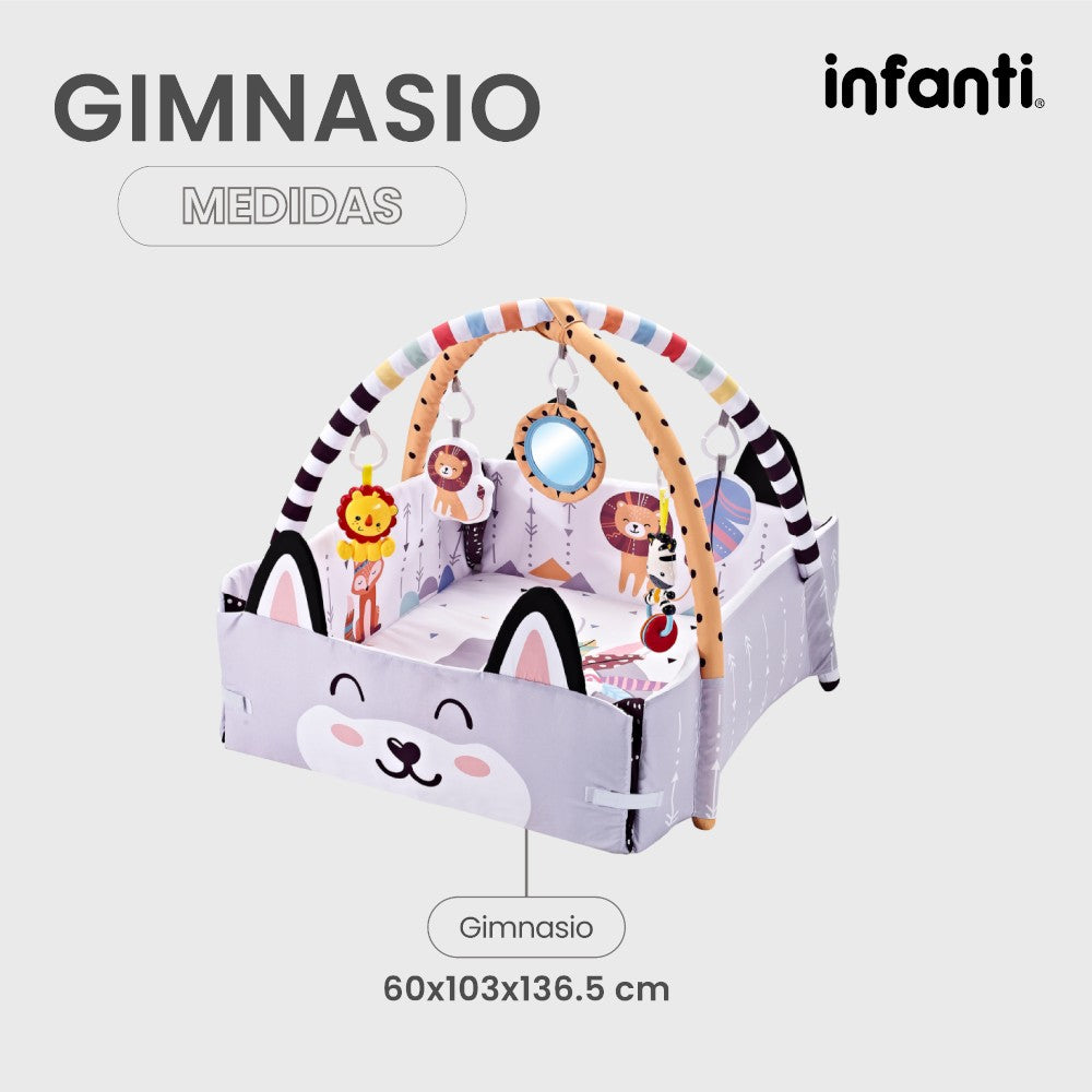 Infanti Gimnasio- Alberca De Pelotas ''Fox''