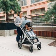 Carriola UPPAbaby Vista V3 Dillan: Mango Telescópico, Asiento Reversible y Toldo Expandible con Protección UPF 50+