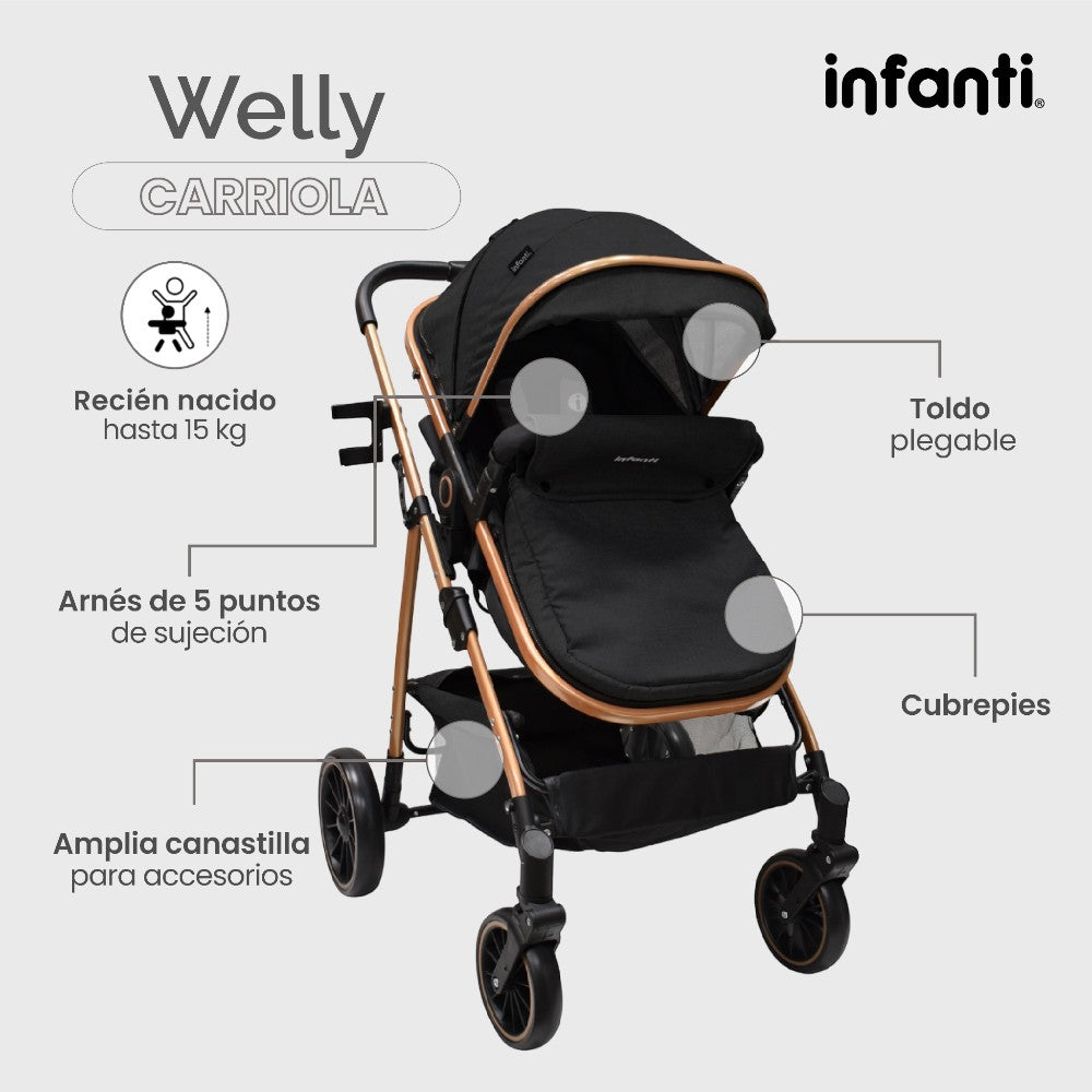 Infanti Carriola Sistema De Viaje Welly Convertible A Bambineto Color Gris