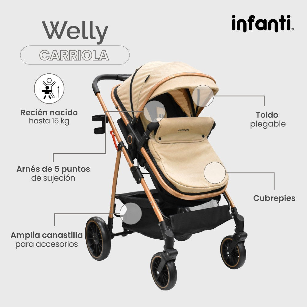Infanti Carriola Sistema De Viaje Welly Convertible A Bambineto Color Gris