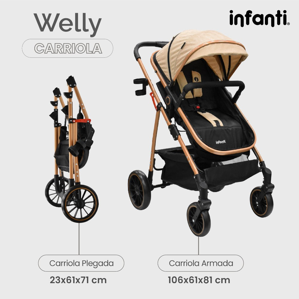 Infanti Carriola Sistema De Viaje Welly Convertible A Bambineto Color Gris