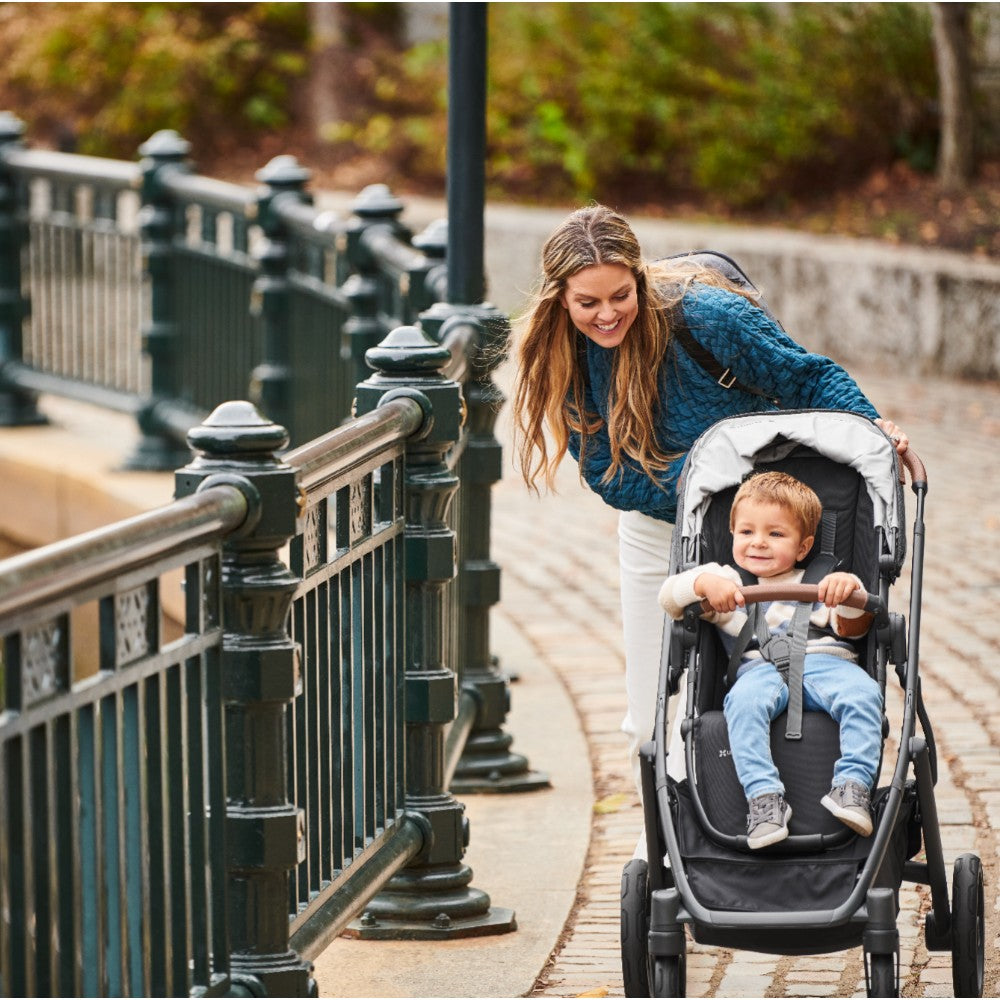 Carriola UPPAbaby Cruz V2 Greyson: Mango Telescópico, Asiento Reversible y Toldo Expandible con Protección UPF 50+